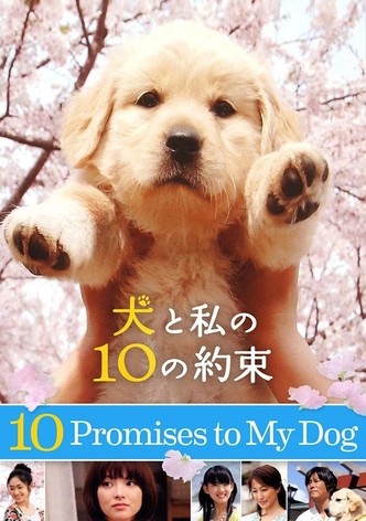 10 Promises to My Dog