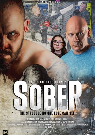 Sober: The Struggle No One Else Can See