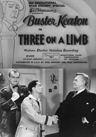 Three on a Limb