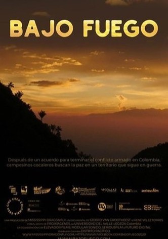 Bajo Fuego
