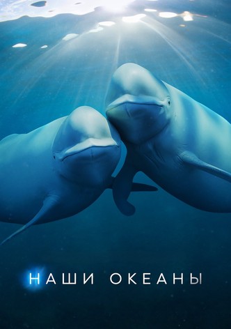 Наши океаны