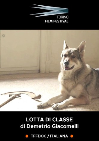 Lotta di Classe - Il cinema dei ragazzi di Emilio Sidoti