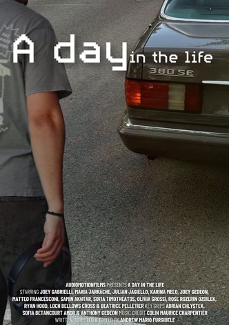 A day in the life
