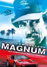 Magnum - Staffel 3
