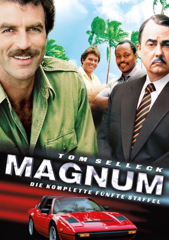 Staffel 5