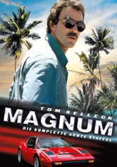 Magnum - Staffel 8