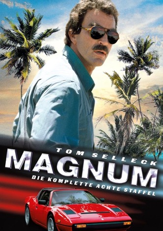Staffel 8