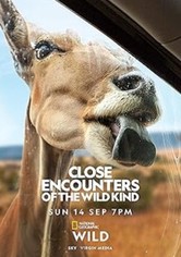 Close Encounters of the Wild Kind