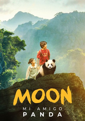 Moon, el meu amic panda