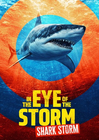 In The Eye Of The Storm