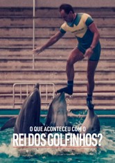 O Que Aconteceu com o Rei dos Golfinhos?