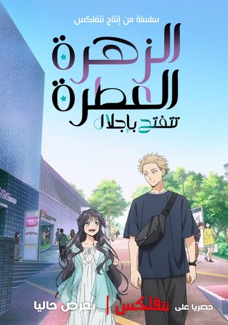 الزهرة العطرة تزهر بكرامة