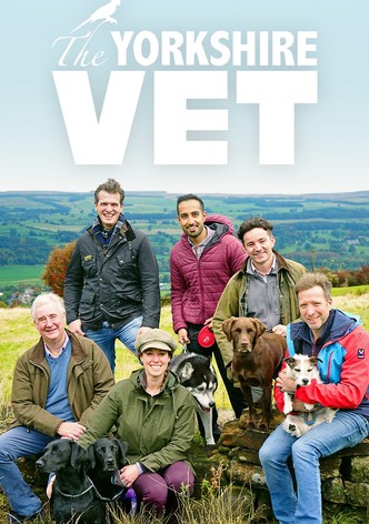 The Yorkshire Vet