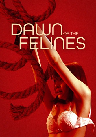 Dawn of the Felines