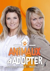 Animaux à adopter : Nouvelle famille pour une nouvelle vie