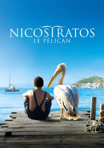 Nicostratos the Pelican