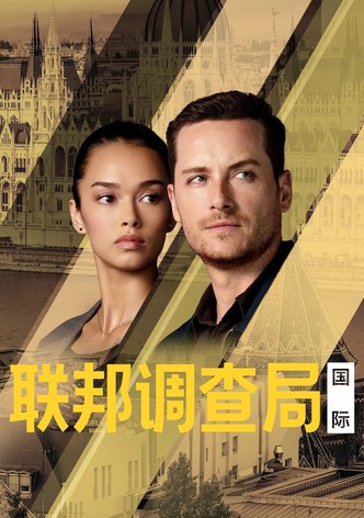 聯邦調查局: 國際刑警