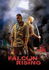 Falcon Rising