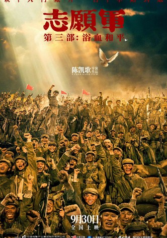 The Volunteers: Peace at Last