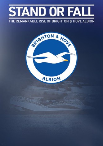 Stand or Fall: The Remarkable Rise of Brighton and Hove Albion