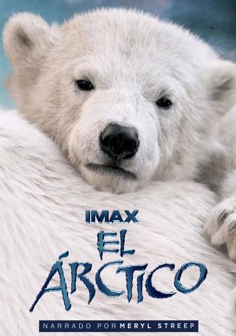Osos Polares 3D: Ojos en el Hielo