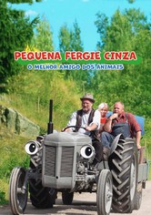 Pequena fergie cinza: O melhor amigo dos animais