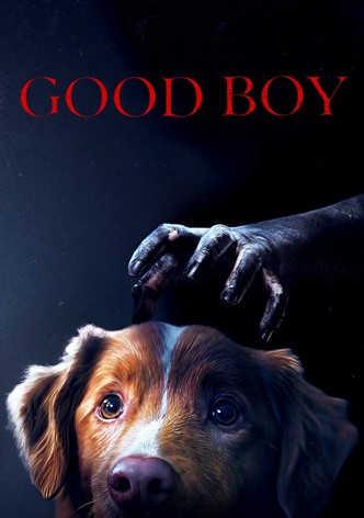 Good Boy