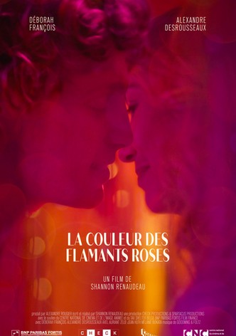 La couleur des flamants roses