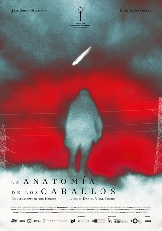 The Anatomy of the Horses