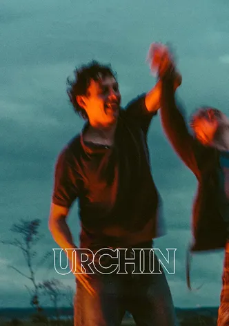 Urchin poster