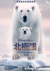 北极熊