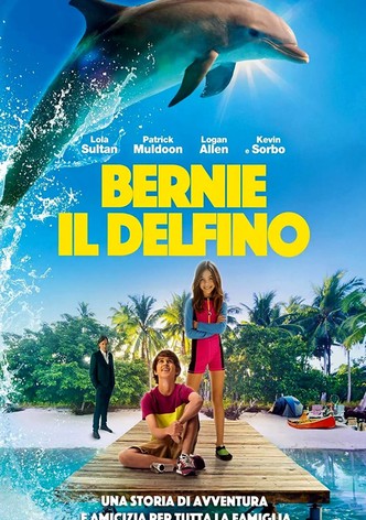 Bernie il Delfino