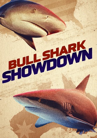 Bullshark Showdown