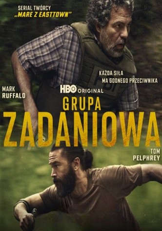 Grupa zadaniowa