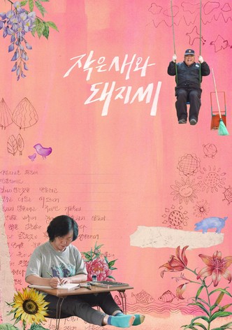 Small Bird and Mr. Pig