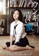 ウンギョ 青い蜜