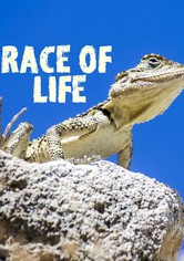 Animali: muoviti o muori