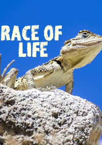Race of life