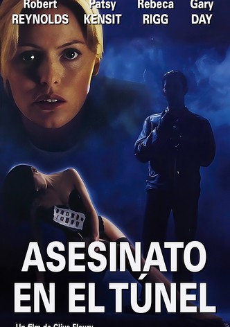 Asesinato en el túnel