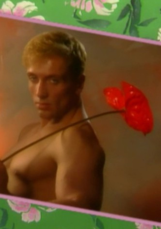 Not Only Angels Have Wings