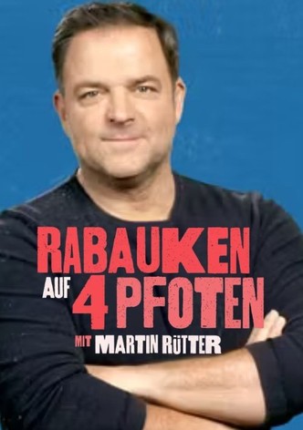 Rabauken auf 4 Pfoten