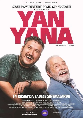 Soyut Disavurumcu Bir Dostlugun Anatomisi Veyahut Yan Yana