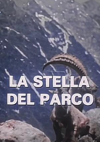 La stella del parco