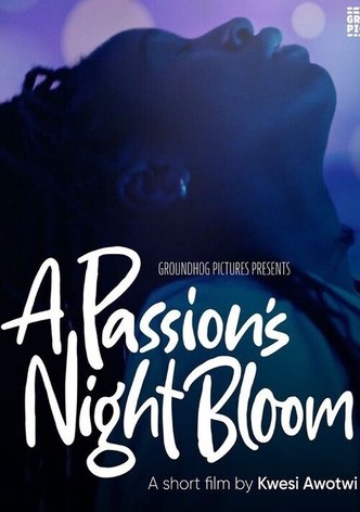 A Passion's Night Bloom