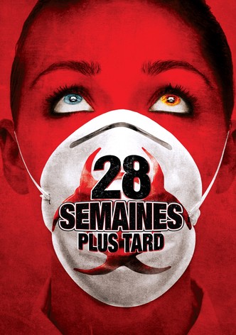 28 semaines plus tard