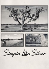 Simple Like Silver