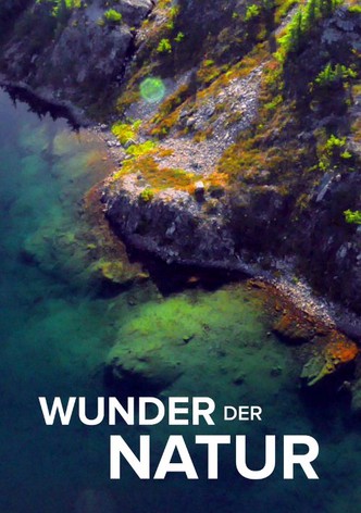Wunder der Natur