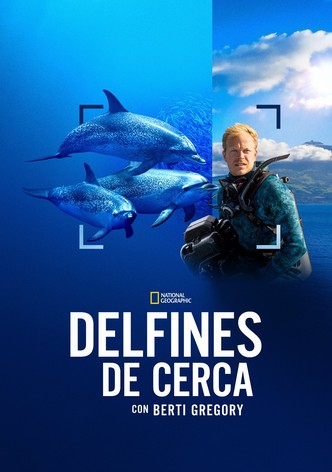 Delfines en primer plano con Bertie Gregory