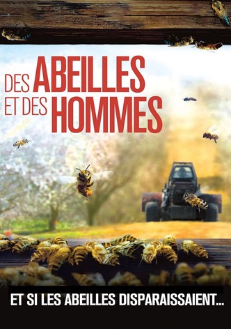Des abeilles et des hommes