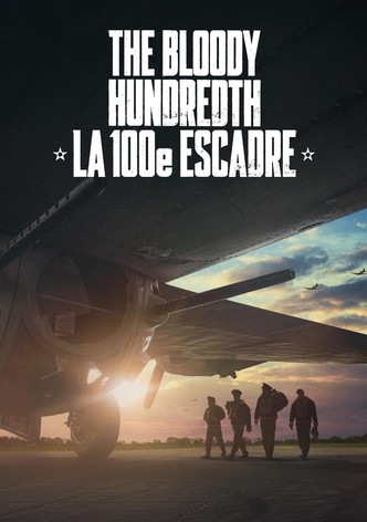 The Bloody Hundredth : la 100e escadre